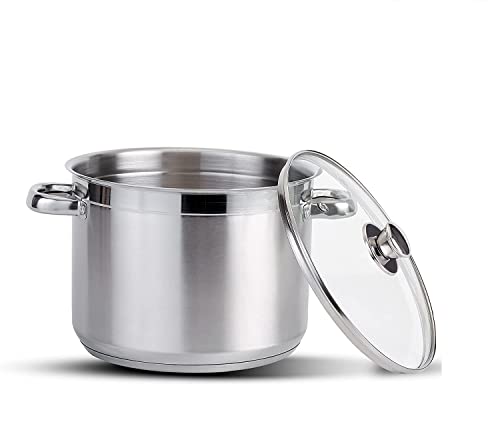 Stainless Steel Stock Pot with Vented Glass Lids- Deep Two Tone Silver Pot, Induction Base (22 cm Diameter - 6.5 Litre)