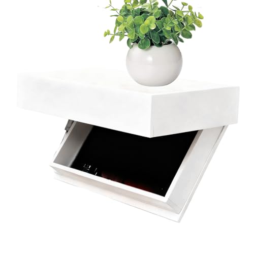 �Ǌ|�����[�t���[�e�B���O�V�F���t �����I �E�H�[���X�g���[�W, ���V���f�B�X�v���C�ƕ��V���I�[�K�i�C�U�[, �閧�̃f�B�X�v���C�V�F���t�����p���[�I, ���r���O �Q�� �ʐ^���� �{ ���� ����p