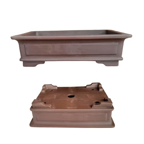 Maceta Bonsai Ceramica Rectangular 33x25x9 cm | Macetero Grande Hecho en Japón | Maceta para Bonsai con Agujero de Drenaje | Tiesto de Cerámica | Árbol no Incluido (Pequeño)