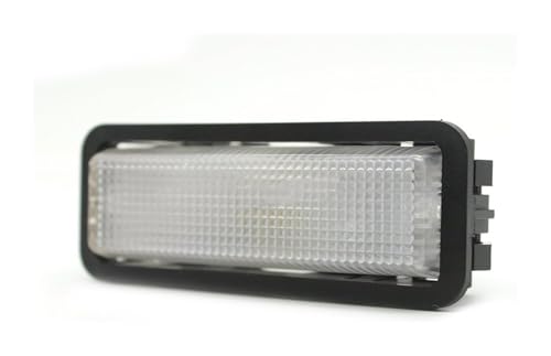 Lámpara de techo para coche ZX Elysee soluciona la falta de luz interior 2