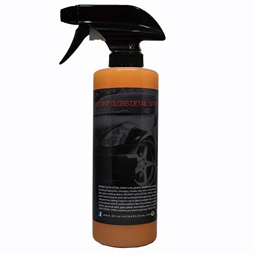 Instant Gloss Detail Spray-16Oz miniatura 1
