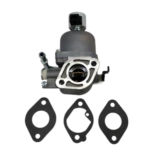 Carburateur de rechange 699807 pour moteurs thermiques de tracteurs 406577 407577 20HP