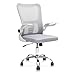 Multi Home Furniture White Mesh Office Chair – Swivel Desk Chair with Lumbar Support, Flip-Up Arm & Chrome Base – Ergonomic Chair Adjustable Computer Chair for Home Office, Study, Gaming & Workstation