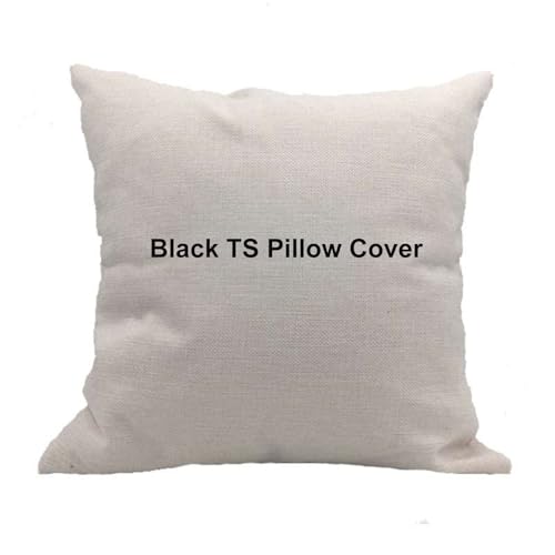 18”x18”Taylor Throw Pillow Cover, Singer Merch Pillowcase Home Decor for The ERAS Tour Swifties Gifts (Word-B)