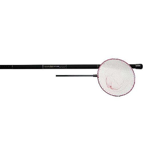 Amazon | PRO TRUST(プロトラスト) 玉網 レイノス 磯玉網 XT 820