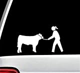 Girl Showing Cow Cattle with Halter Decal Sticker H1087