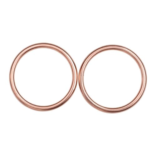 Ceesueb Auspuffdichtung 2 Stück kompatibel mit CRF450RL