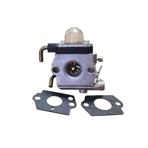 Carburateur pour C1Q-S58A évite les calages moteurs avec ses joints inclus