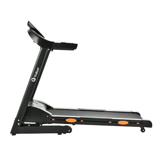 Esteira Ergométrica Elétrica Gallant Elite Pro 3.0hp 16km/H 120kg 220v (Gee12e30a-220pt)