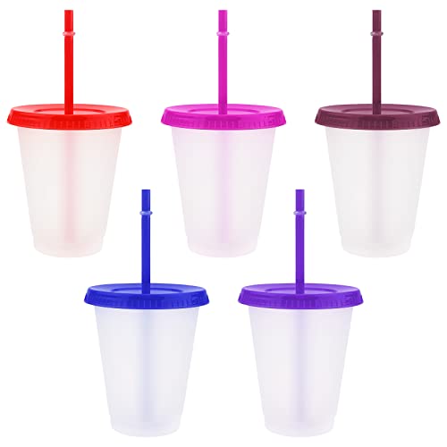 TSLBW 5 Pcs Reusable Plastic Cup Drinkware Tumblers Acrylic Cups Tumblers with Lids and Straws Plastic Bulk Iced Plastic Cold Water Tumblers Iced Coffee Cups Travel Mug Party Tumbler (bg140)