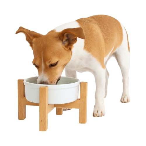 Comedouro Ergonômico 2 Alturas Madeira Gato Cachorro Pote Porcelana (Branco)