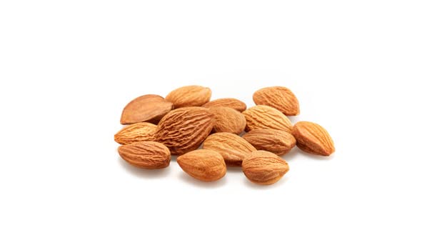 Vista 4 de Yupik Granos de albaricoque orgánico, 2.2 libras, sin OMG, veganos, sin gluten