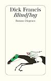 Blindflug: Roman (detebe)