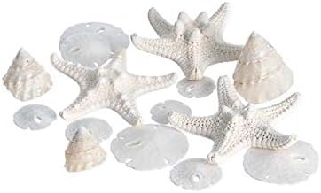 Mezcla náutica de boda blanca en miniatura 12 piezas incluye estrella de mar blanca pequeña dólares de arena conchas de troco de madreperla todas