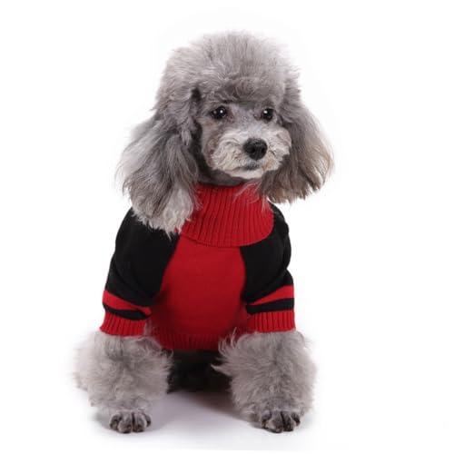 Disfraz de Halloween para perro talla XL patrón de calavera miniatura 6