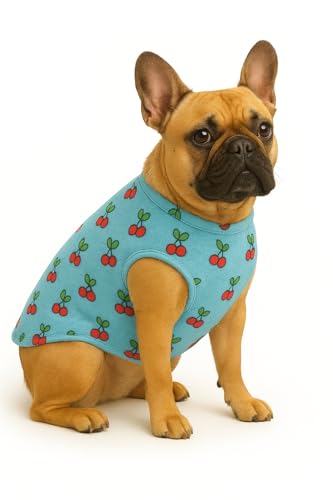 Image of The Pets Company Dog Winter Coat Jacket, Cloth, Windproof, Light Weight, Washable, Ultra Warm Thick Fleece Lined Dog Vest for Cold Weather Protection, (Sky Blue Cherry, Small - Med - 16 Inch)