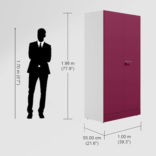 Image of Interio by Godrej Almirah Auraline Men Premium 2-Door Steel Almirah, Cupboard for Clothes (Textured Berry), 1-Year Warranty, 2 Shelves, 1 Locker, 2 Drawers