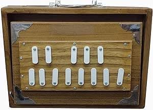 Scatola Shruti in legno di teak, 30,5 cm, strumento musicale Shruti Box con borsa, Surpeti 432Hz sintonizzato