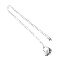 Ipetboom Ciondolo Commemorativo Cuore Cuori Animale Domestico Urne Per Collana Di Ceneri Umane Collana Di Urna Per Animali Domestici Collana Silver Acciaio Inossidabile