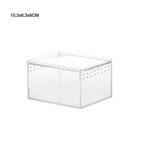 Seasaleshop Insectenterrarium transportbox | acryl voederbox | terrarium box voor insecten vogelspinnen amfibieën rupsen… - Afbeelding 3