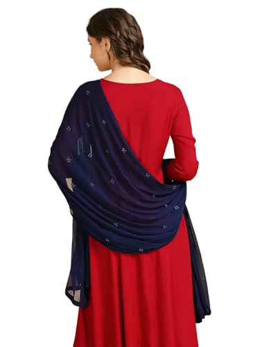 Image of DUPATTA BAZAAR Women's Embroidered Chiffon Dupatta with Delicate Sequins
