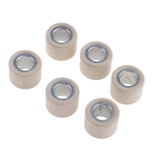 Rouleau de variateur 23,8x18mm 24,5g : fini les pertes de vitesse sur CH250