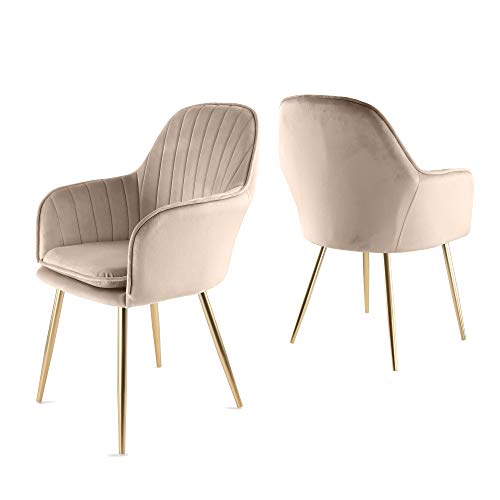 Genesis Muse Chaise en tissu de velours Lot de 2 pieds tubulaires en métal avec finition chrome doré (Taupe)