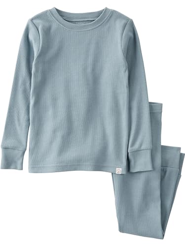 little planet by carter's unisex-baby Baby and Toddler 2-piece Pajamas made with Organic Cotton, Cloudy Day, 4T