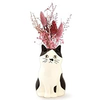 ぐでねこ『8月☆￼フラワー5色』 71OpxCov0fL._UF350,350_QL50_.jpg