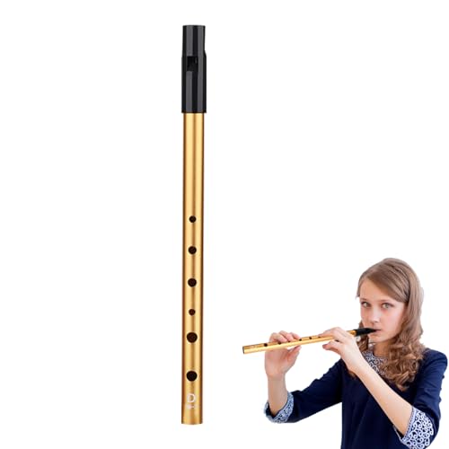 Whistle Irlandais En Cuivre Clé De D - Instrument Traditionnel - Pour Débutants Et Musiciens - Son Doux Et Authentique
