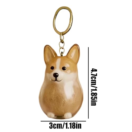 Schlüsselanhänger Hundehaar Aufbewahrungsflasche, Transparente Hunde Erinnerungsbox, Schlüsselanhänger Hundehaar Aufbewahrungsflasche, Erinnerungsbox Hundeliebhaber, für Geschenk Hundeliebhaber