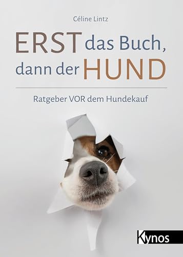 Erst das Buch, dann …