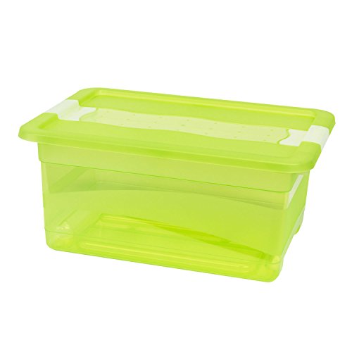 keeeper Aufbewahrungsbox mit Deckel und Schiebeverschluss, 39,5 x 29,5 x 17,5 cm, 12 l, Cornelia, Grün Transparent