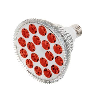 RubyLux All Red LED Bulb 660nm Size Large