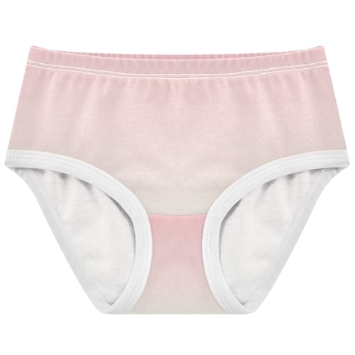Joisal Cartoon Toddler Underwear Floral 2t Cotton Cute Panties Girl Blush Pink Gradient Briefs Girls Undies - Main Image