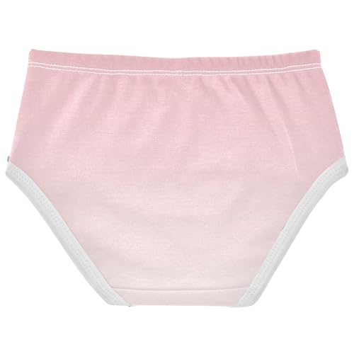 Joisal Blush Pink Snow White Gradient Toddler Underwear Floral 2t Cotton Cute Panties Girl Florals Briefs Undies Kids2