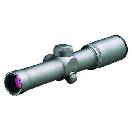 Amazon.com : Burris Optics Handgun Scope 2X Plex Reticle in Nickel