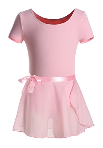 DANSHOW Girls Short Sleeve Leotard with Skirt Kids Dance Ballet Tutu Dresses(4-6,pink)