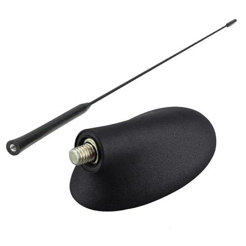 Antenne de toit de voiture avec base pour Ford Focus Fiesta et Mondeo