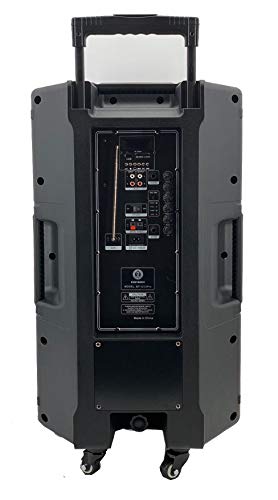 Singtronic Bt-1212Pro Professional 5000W Portable 12" Double Woofer Bluetooth Speaker Via Unlimitted Youtube Karaoke Songs System Free: 2 X Wireless Microphone Karaoke & Rechargeable Batteries #TOP3