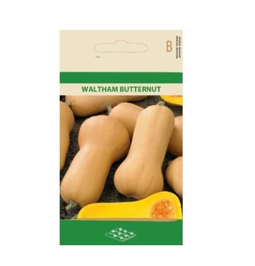 VibeX Musk Pumpkin Waltham Butternut Seeds-50 Seeds (B0BBGNWDQG) Amazon Price History, Amazon Price Tracker