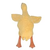 Oytrui