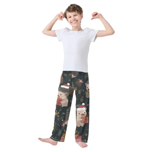 Hedgehog Pine Cones Boys Long Pants Soft Trousers Elastic Waist Kids Lounge Bottoms with Pockets S-XL3