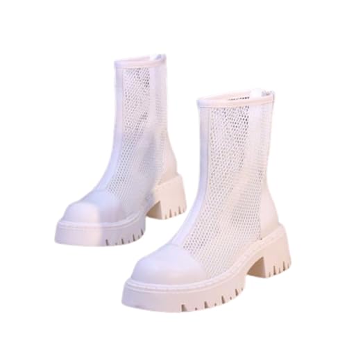 [DONSHUR] T}[u[c u[cT_ bV ʋC  q[ pvX [q[ fB[X T_ Ȃ t  {v  r  C ʋ ʊw ₷  ubN JWA V[g