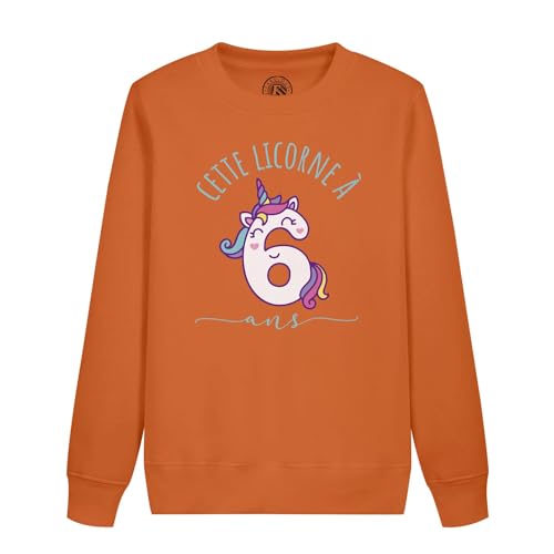 Sweatshirt enfant licorne 6 ans idéal pour souffler les bougies