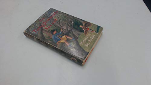 The Tanglewoods Secret B000KP0TFQ Book Cover