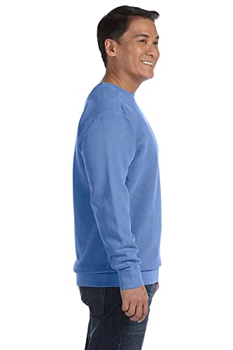 Comfort Colors Mens Crew Neck Fashion-sweatshirts, Flo Blue Pgmdye, Large US2
