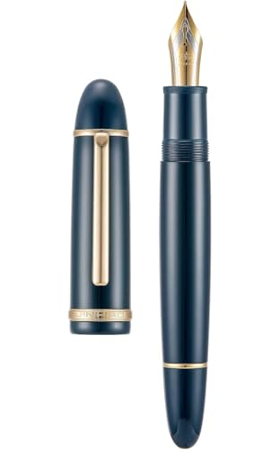 Stylo-plume écriture lisse plume fine 0,5 mm en résine pour le bureau