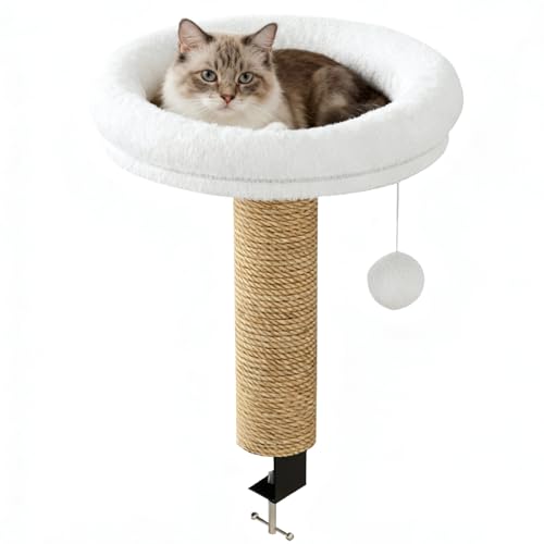 fXNpLbgxbh - ]|h~ 360°]\ | ] qLe[ulXg -  O xbhTCh ~G EBhEV Q rO[ oRj[ {I [Nv[X p