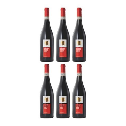 Roccafiore Sagrantino di Montefalco DOCG Rotwein Rot Trocken VEGAN Italien inkl....